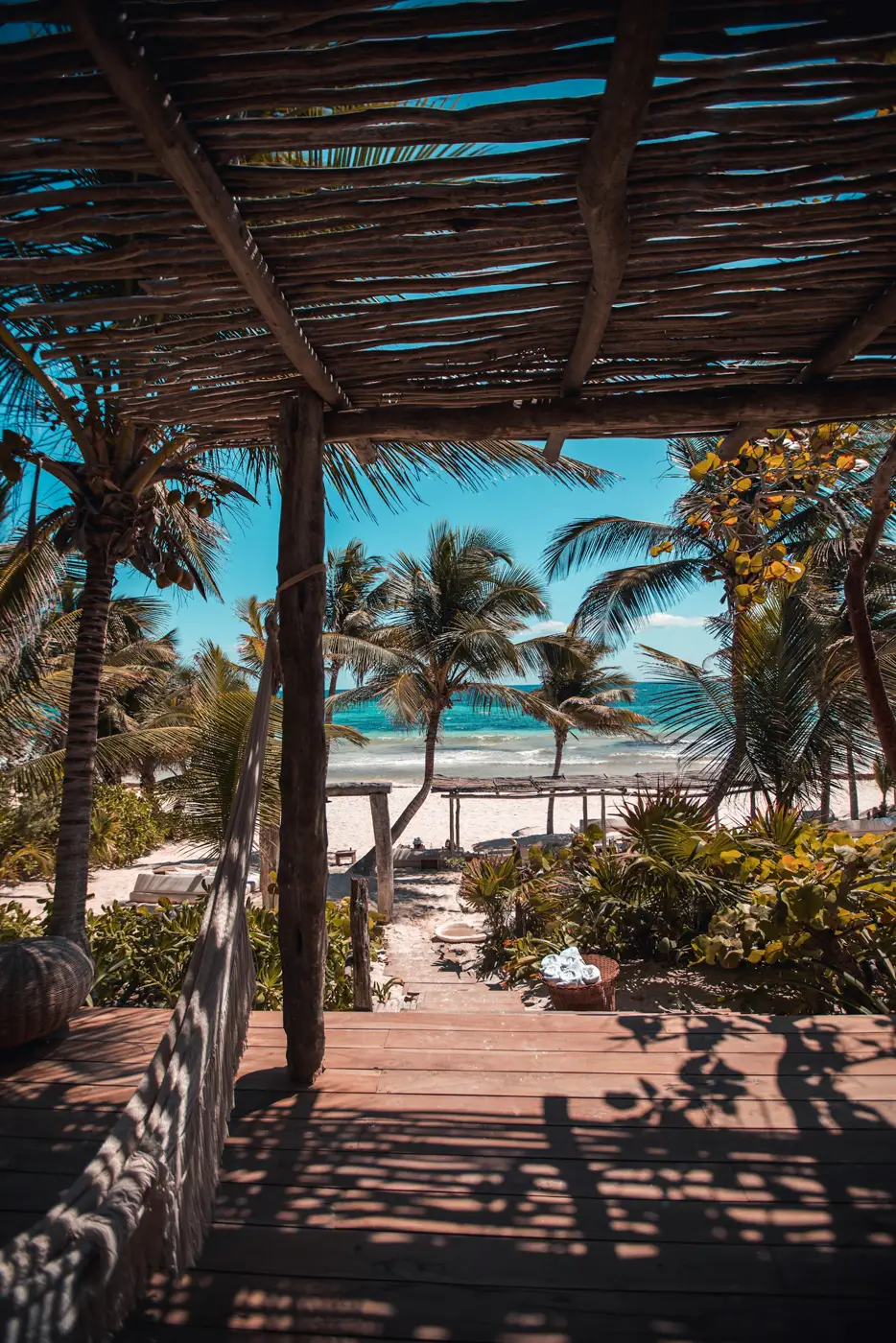 Cabina de techo de palma bajo las palmeras de coco
