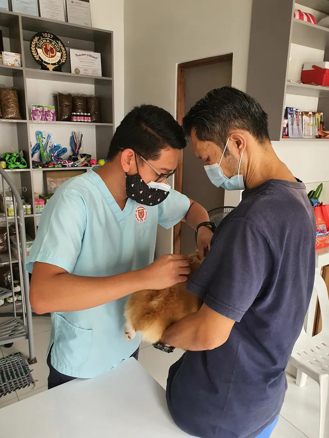 Veterinario atendiendo a un perro en la sala de consulta