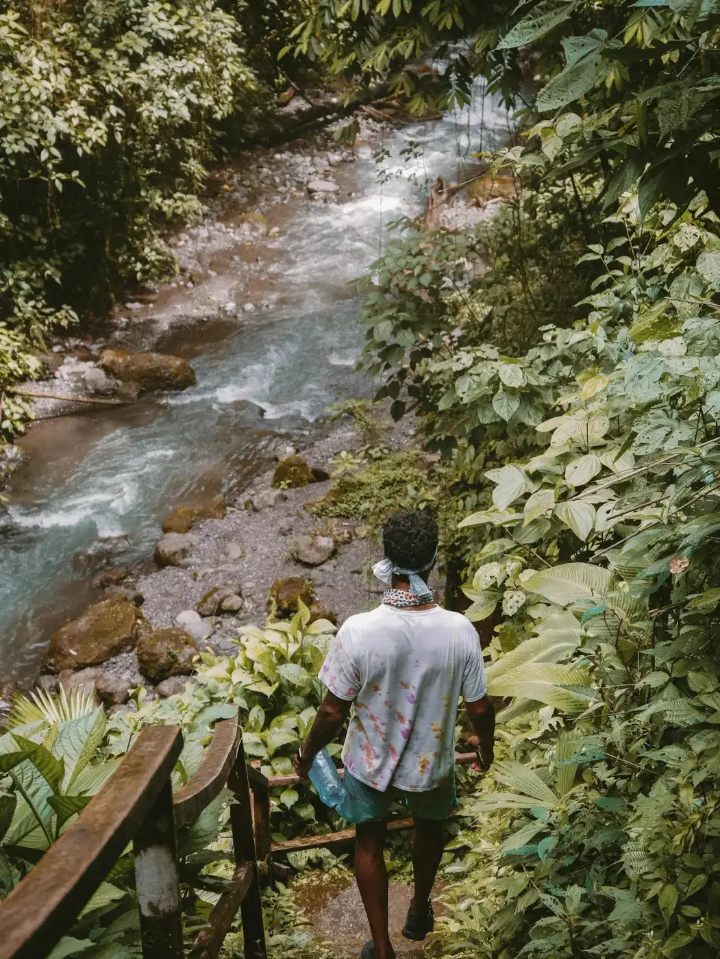 Caminante de espaldas junto a un río de montaña rodeado de vegetacion