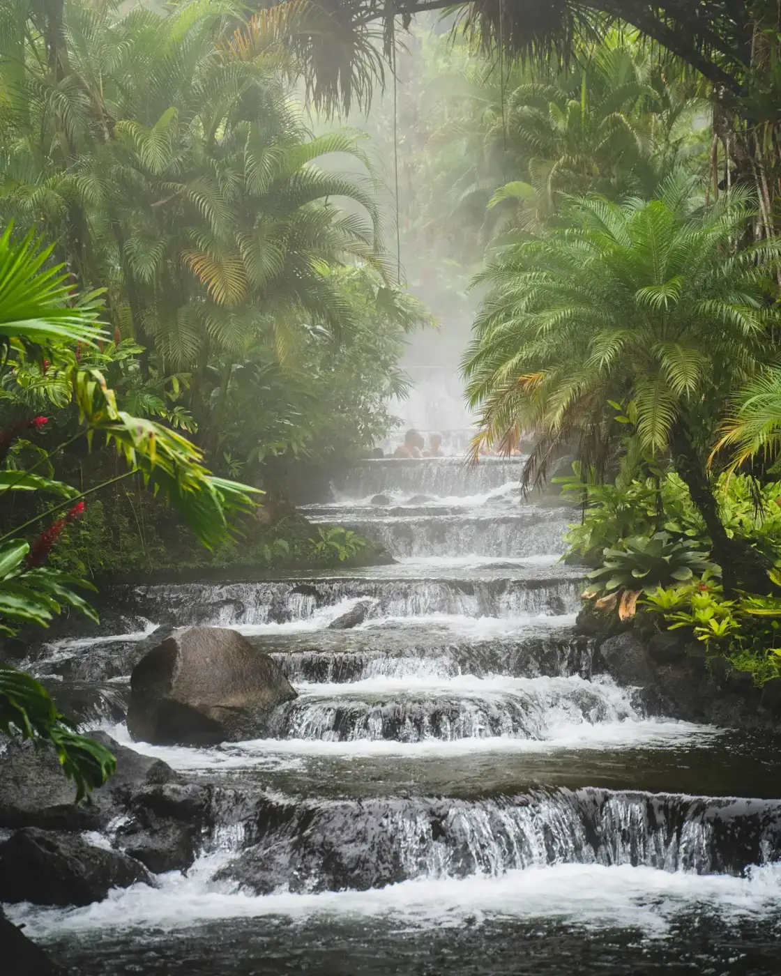 Cascada entre palmas y vegetación tropical